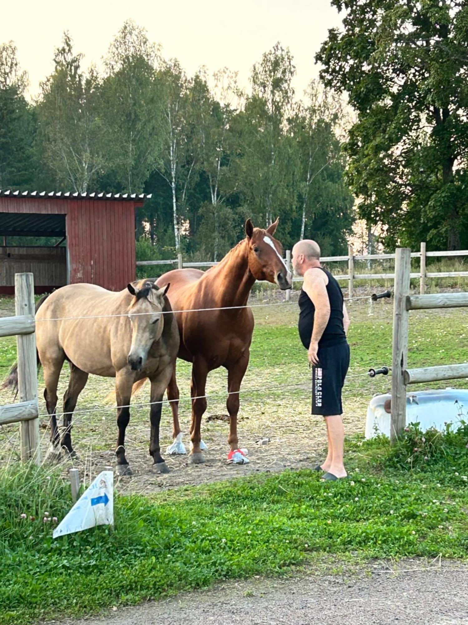 קארלסטאד Ulvsby Ranch Western Camp מראה חיצוני תמונה