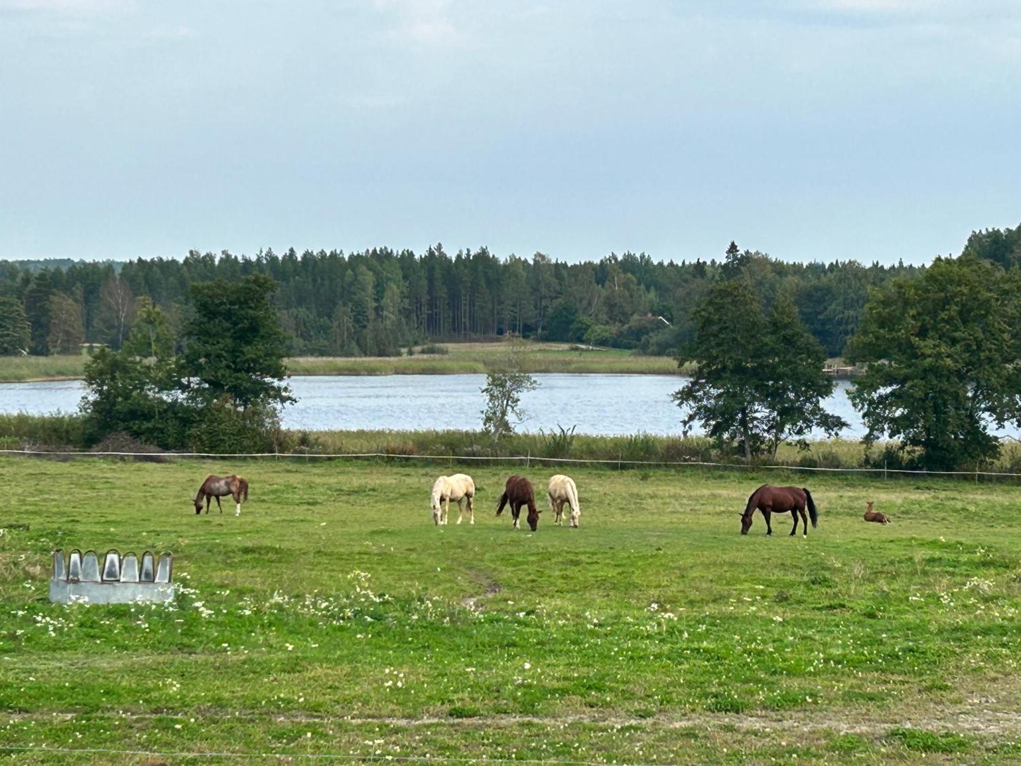 קארלסטאד Ulvsby Ranch Western Camp מראה חיצוני תמונה