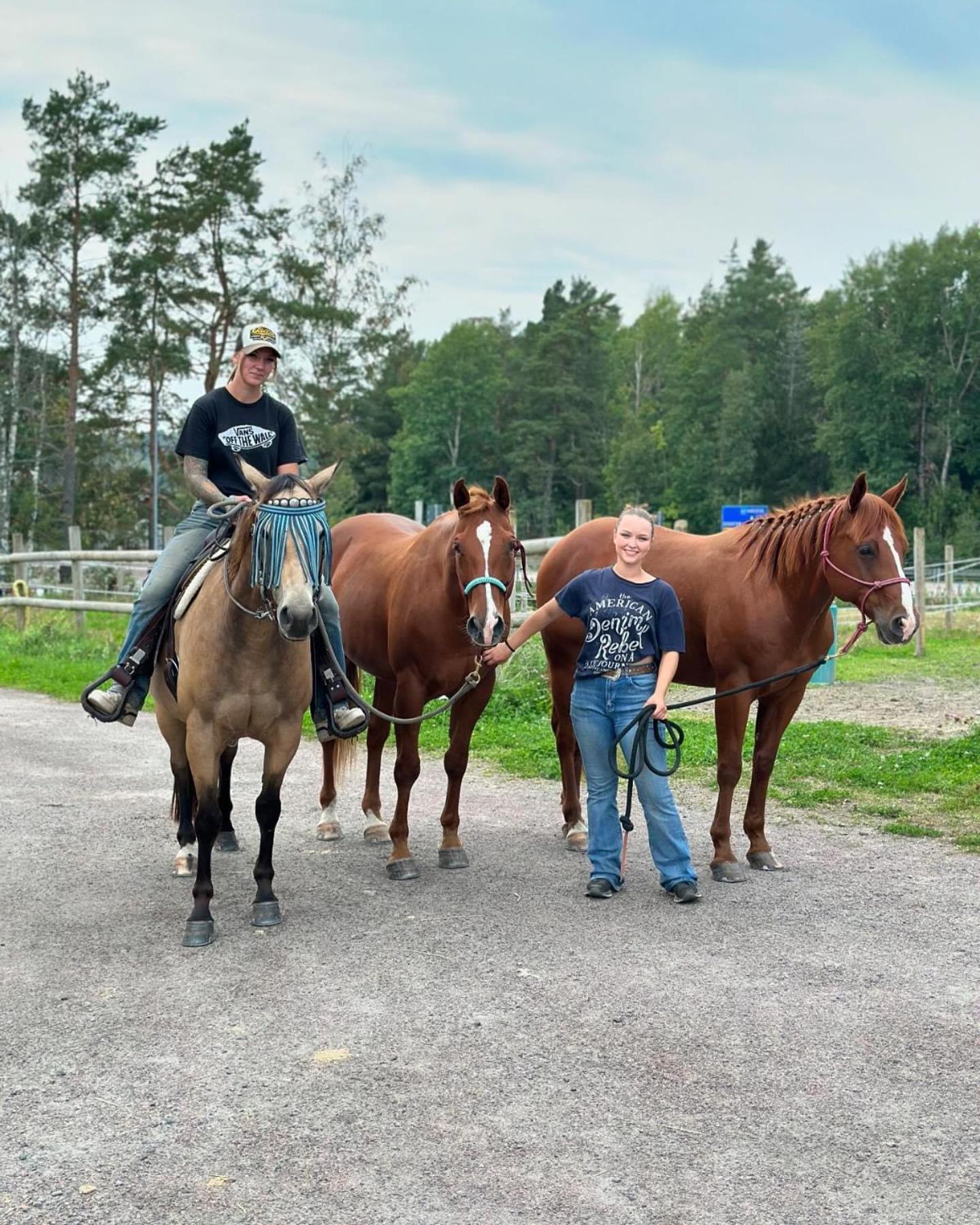 קארלסטאד Ulvsby Ranch Western Camp מראה חיצוני תמונה